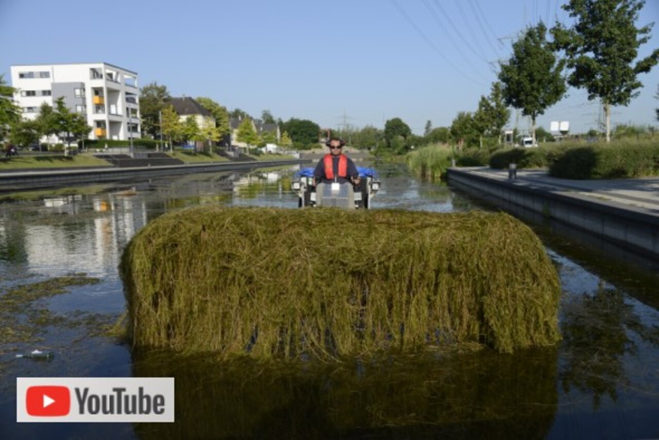 Bei der Gewässerpflege wird eine große Menge Mähgut aus einem künstlichen See abtransportiert.