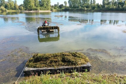 Mäharbeiten auf dem Greisbachsee mit dem Truxor