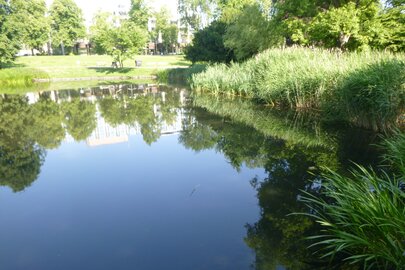 See im Stadtgarten Essen nach der Entkrautung